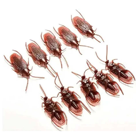 Barata Plástica 4,5cm pacote com 12un - PARTIUFESTA