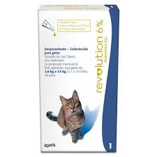 Revolution para gatos 6%