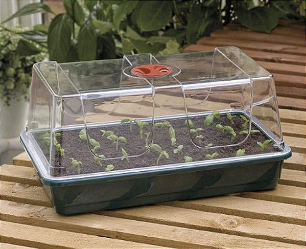 ESTUFA CLONAGEM E GERMINAÇÃO MÉDIA "HIGH DOME" 38x24x19cm - ACRÍLICO RÍGIDO ULTRA-CLEAN