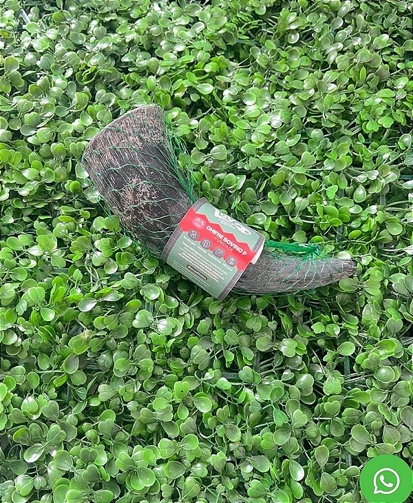 Chifre Bovino P 1un LUV