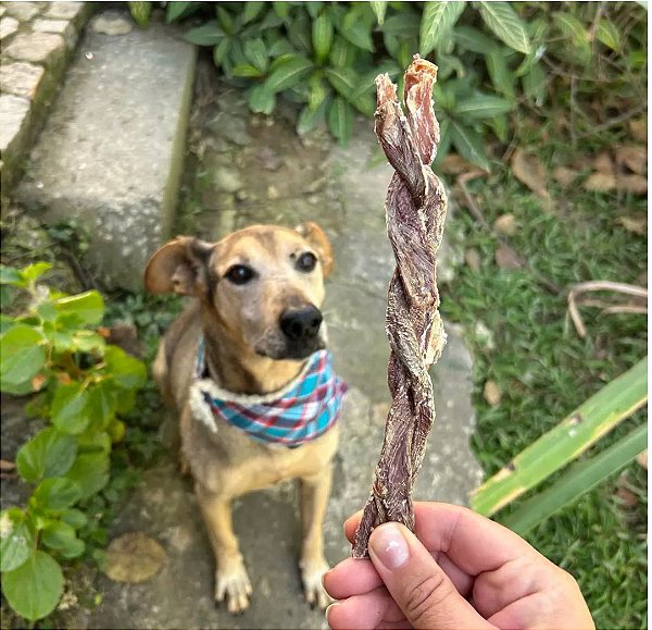 Esôfago Suíno Trançado - PETNATURAU