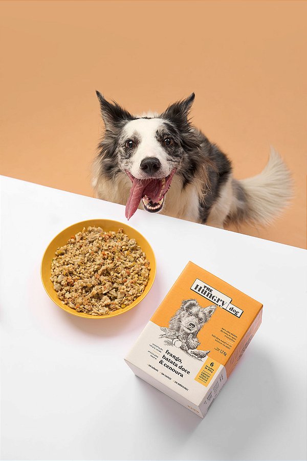 Alimentação Natural THD - SACHÊ 200g Frango, Cenoura & Batata Doce