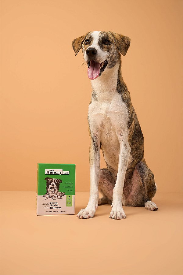 Alimentação Natural THD - SACHÊ 200G - Porco, Chuchu & Alecrim