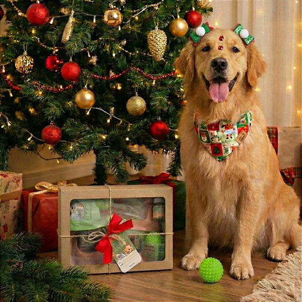 Caixa especial de Natal - 6 itens