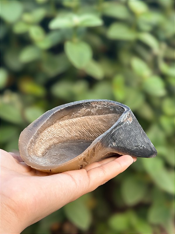 Casco de Boi 1 uni Pet Bem