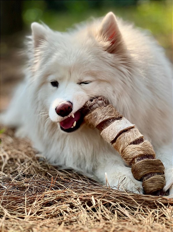 TUBÃO POWER 1UN - Traqueia + Pele bovina - PET BEM