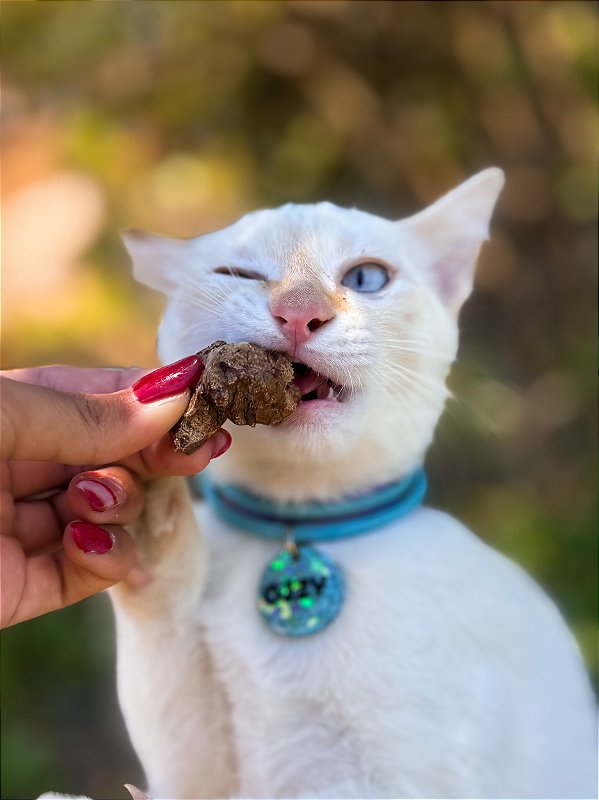 Churrasquinho Suíno - Pulmão de porco 60g - PET BEM