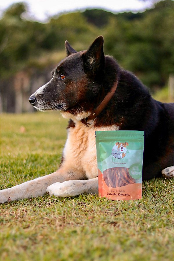 Lombinho Crocante para Cães e Gatos PET BEM - 60g