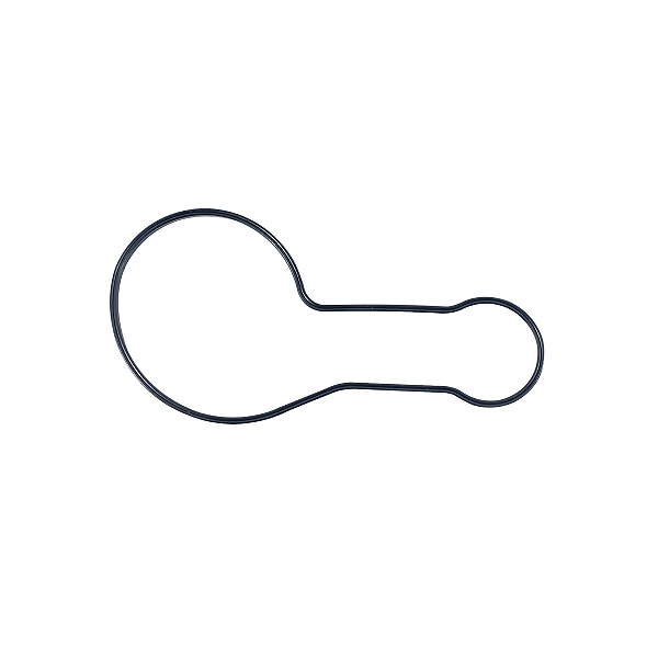 Guarnição Bomba D'água para Beta BMS Racing