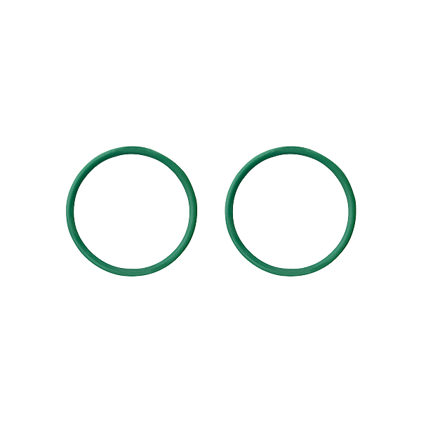 Anel O'ring Viton BMS Racing