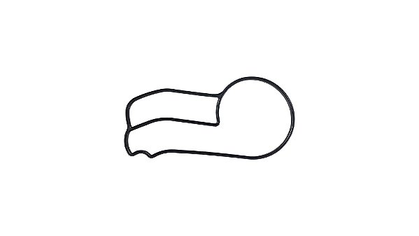 Guarnição Bomba D'água BMS Racing