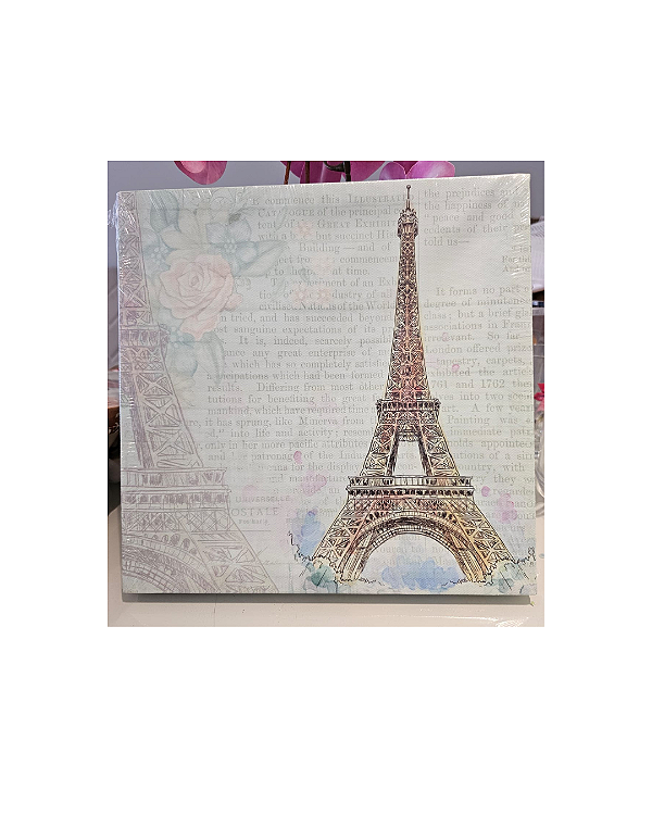 Quadros Decorativos - Paris