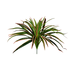 Buque Yucca Outonada 32cm
