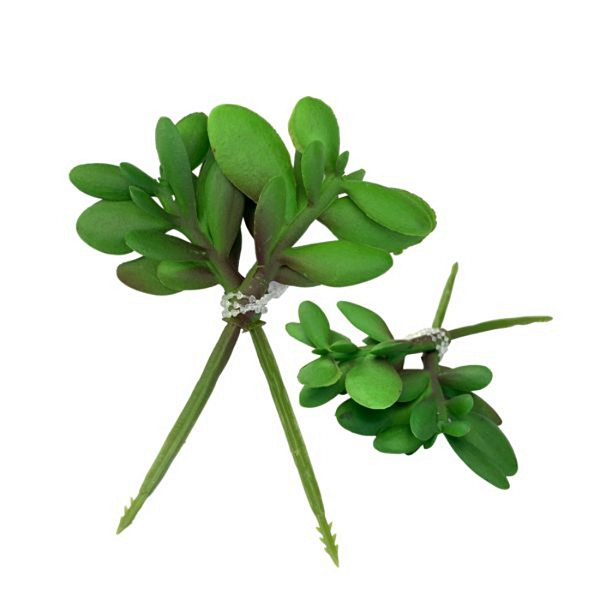 Cacto 10cm