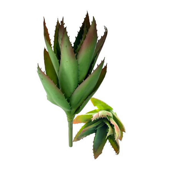Suculenta 35cm