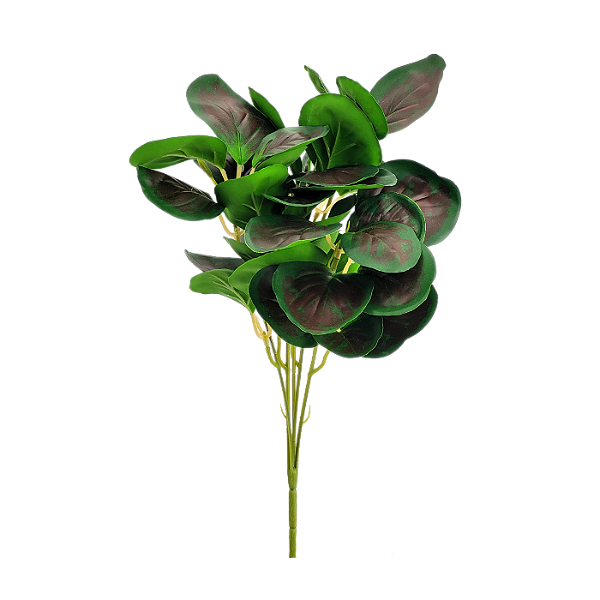 Buque Peperômia 3D 30cm - Verde com Vinho