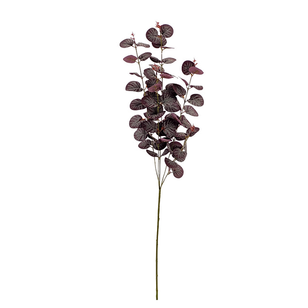 Haste Eucalipto 87cm - Bordo