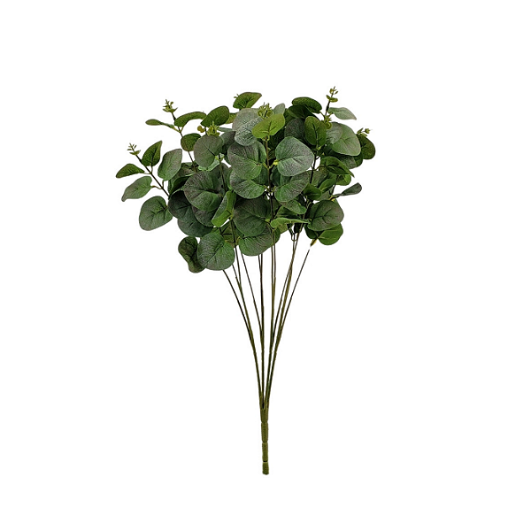 Buque Eucalipto 50cm - Verde Claro