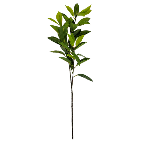 Haste Folha de Limão 80cm