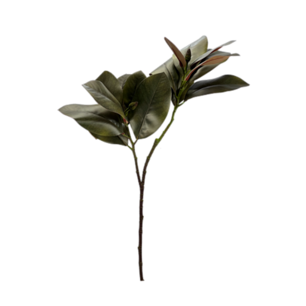 Folha Magnólia 83cm - Verde
