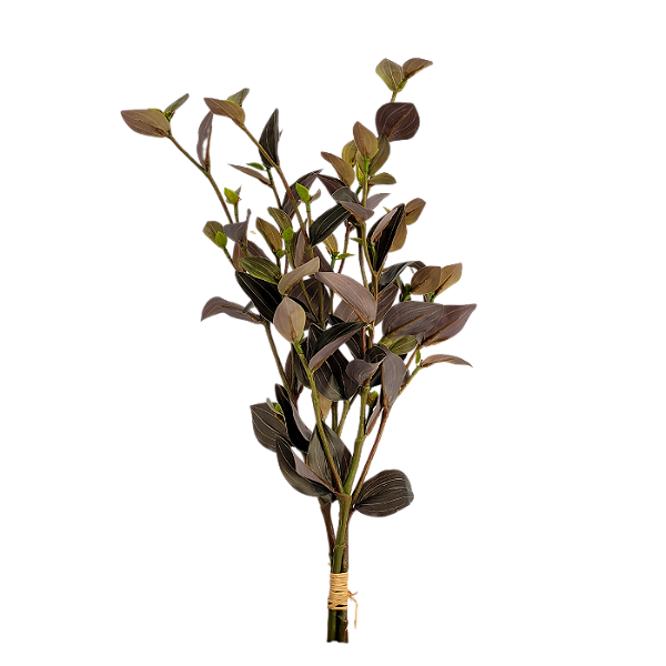 Folha Ramalhete de Lambari 50cm - Verde Purpura