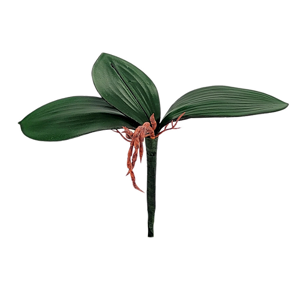 Haste Folha Orquidea X3 15cm