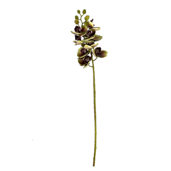 Haste Orquídea 3D Mini 60cm - Verde com Marrom