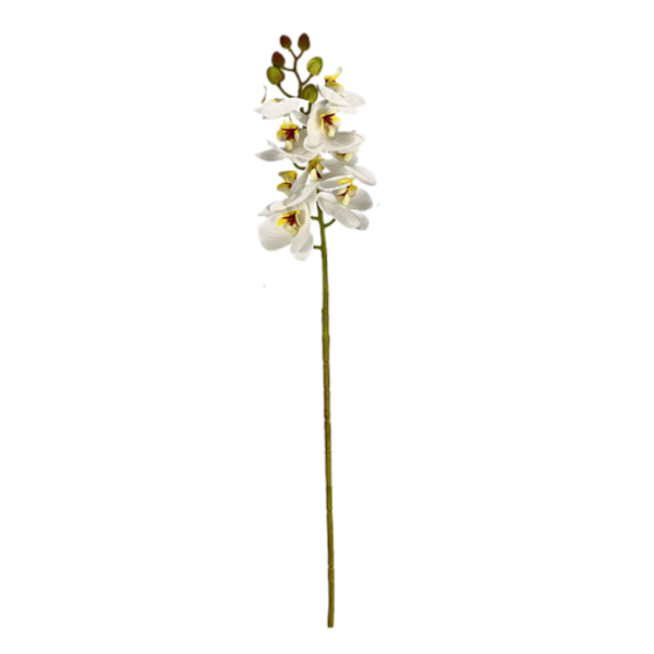 Haste Orquídea 3D Mini 60cm - Branco