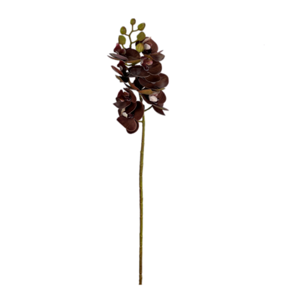 Haste Orquídea 3D Mini 60cm - Bordo