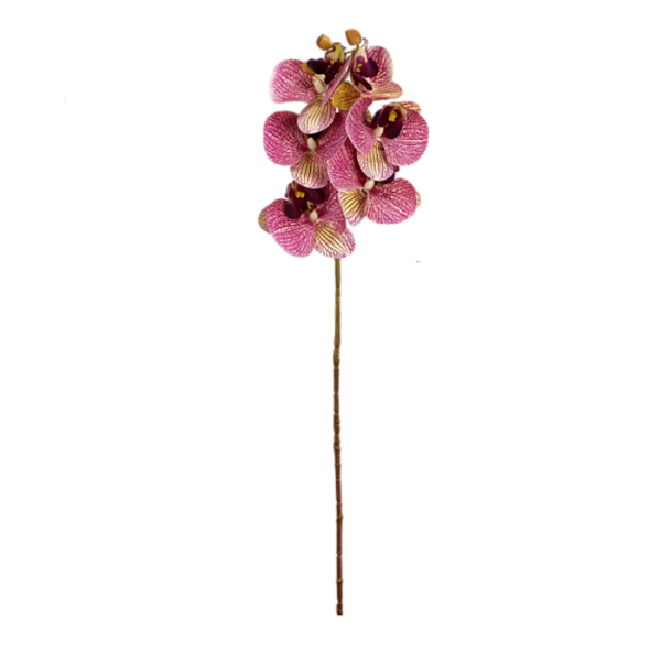 Haste Orquídea Phalaenopsis 3D X6 - Pink com Amarelo