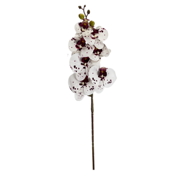 Haste Orquídea 70cm - Branco com Vinho
