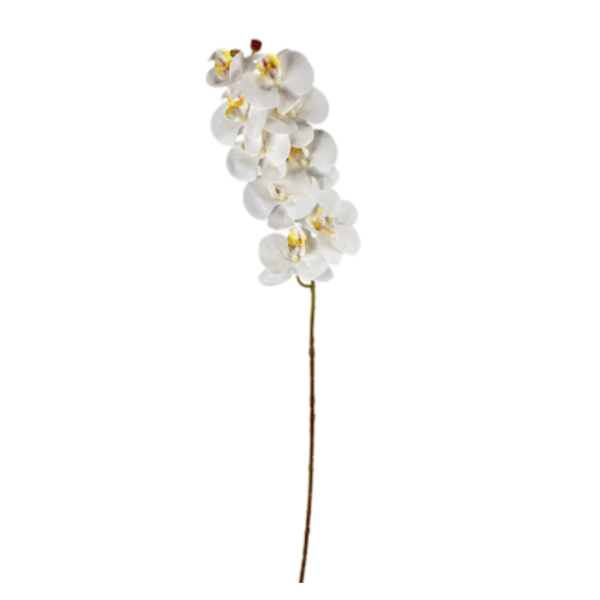 Haste Orquídea 78cm - Branca