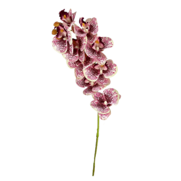 Haste Orquídea 78cm - Branco com Purpura