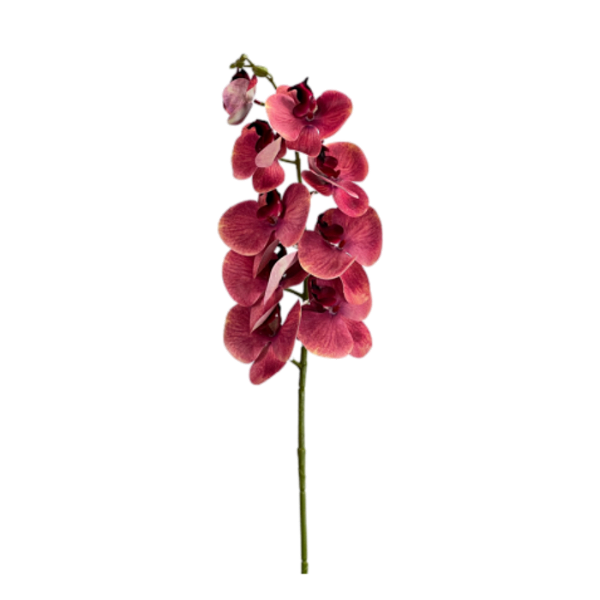 Haste Orquídea Phalaenopsis X9 98cm - Rosa Escuro