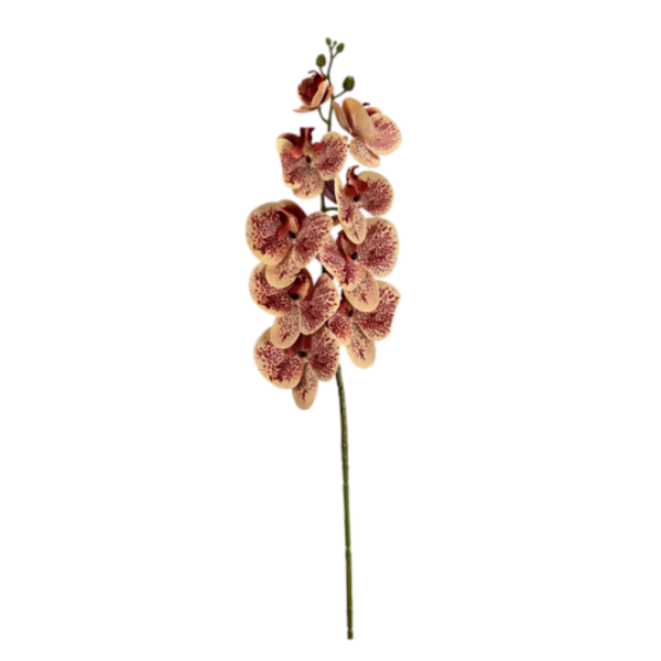 Haste Orquídea Phalaenopsis X9 98cm - Amarelo com Vermelho