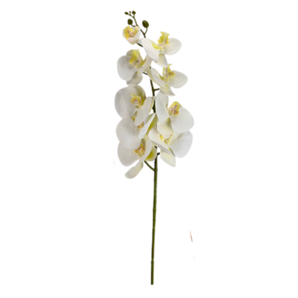 Haste Orquídea Phalaenopsis X9 98cm - Branco
