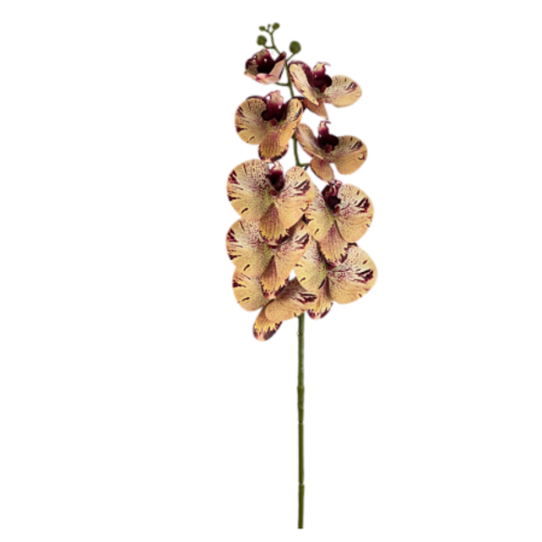 Haste Orquídea Phalaenopsis X9 98cm - Amarelo com Vinho
