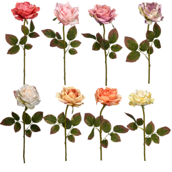 Haste Rosa X1 60cm