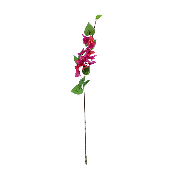 Haste Bougainvillea 78cm - Pink