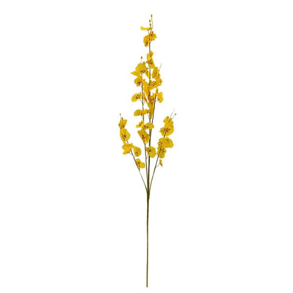 Haste Chuva de Ouro 62cm - Amarelo