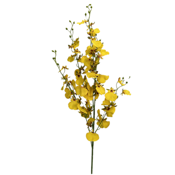Haste Chuva de Ouro 105cm - Amarelo