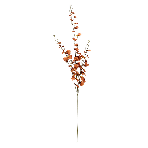 Haste Chuva de Ouro 120cm - Marrom