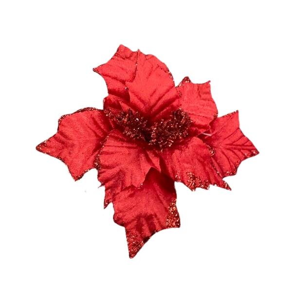 Bico de Papagaio Vermelho 24cm