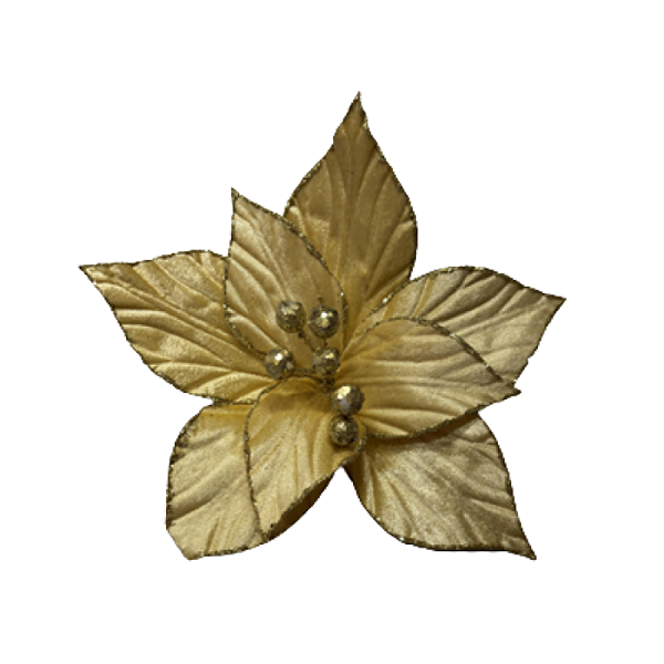 Haste Bico de Papagaio 15x21cm Dourado