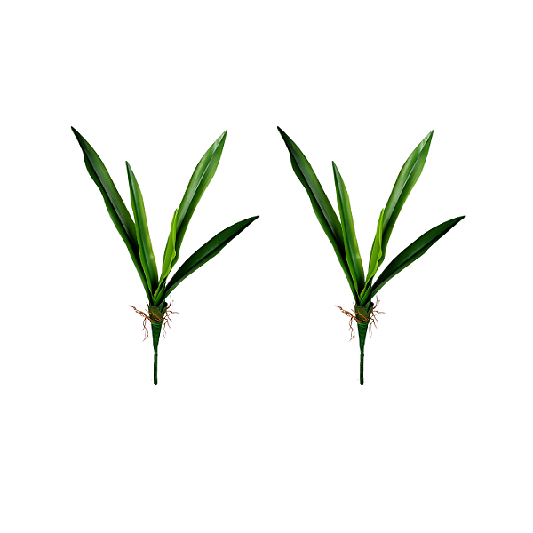 Conjunto 2 Hastes Folha Orquidea 50cm - BMQ