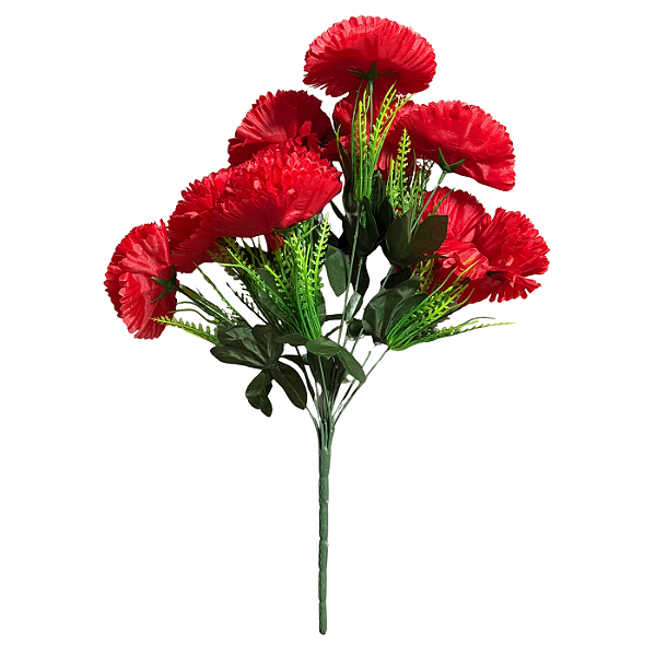 Buquê Cravo Vermelho X10 - BMQ