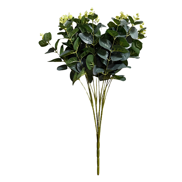 Buquê Eucalipto - BMQ