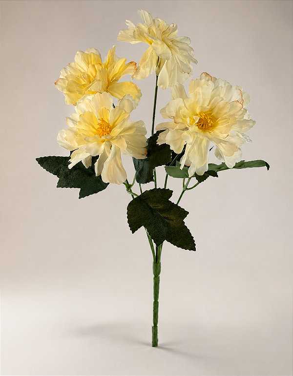 Buquê De Dália Branco e Amarelo X5 Para Arranjos Decorativos