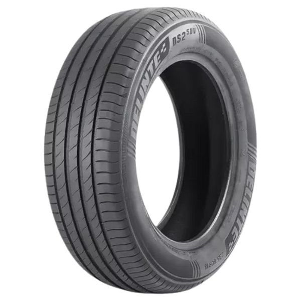 Pneu Carro 245/65R17 DS2 SUV XL TL 107H Delinte