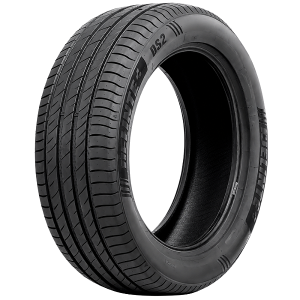 Pneu Carro 215/65R16 DS2 XL TL 102H Delinte